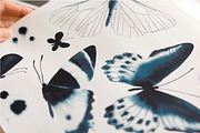 Butterflies Watercolor clipart, an Object Graphic by Olga Bonitas (Thumbnail 4 of 8)