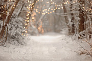 Winter Lights Digital Backdrop, a Layer Style Add-On by Wild Honey Design Co. (Thumbnail 2 of 2)