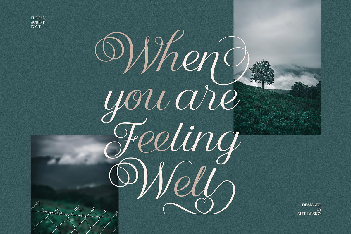 Nandola Typeface, a Script Font by alit design (Photo 8 of 16)