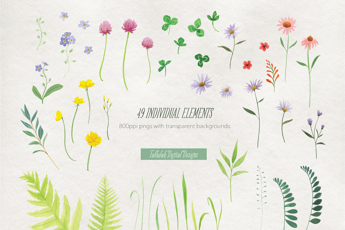 Little Wildflowers Clipart, an Illustration by Tallulah Digital Designs (Photo 3 of 4)