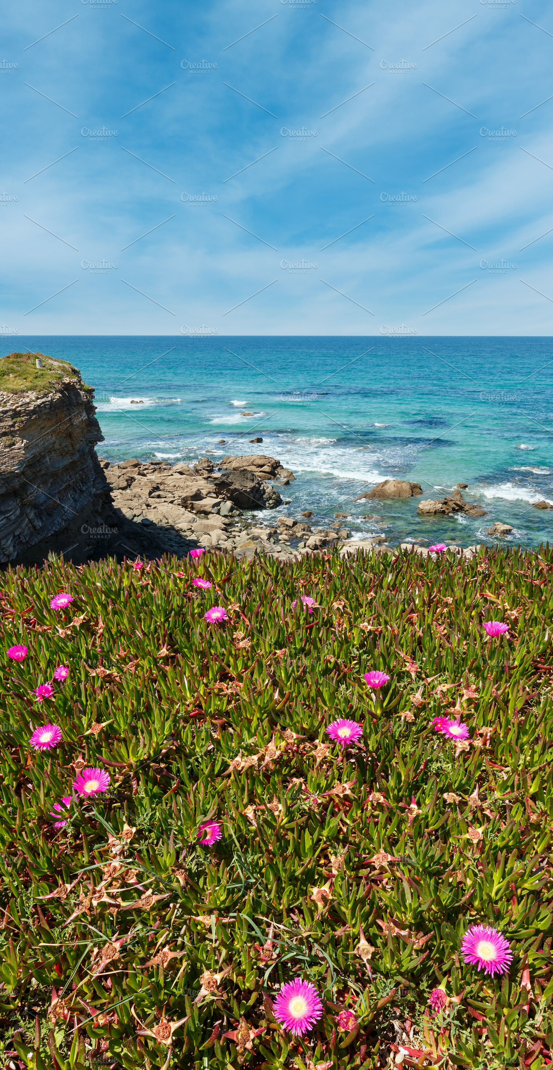 Atlantic blossoming coastline (Spain)., a Nature Photo by YuriyB