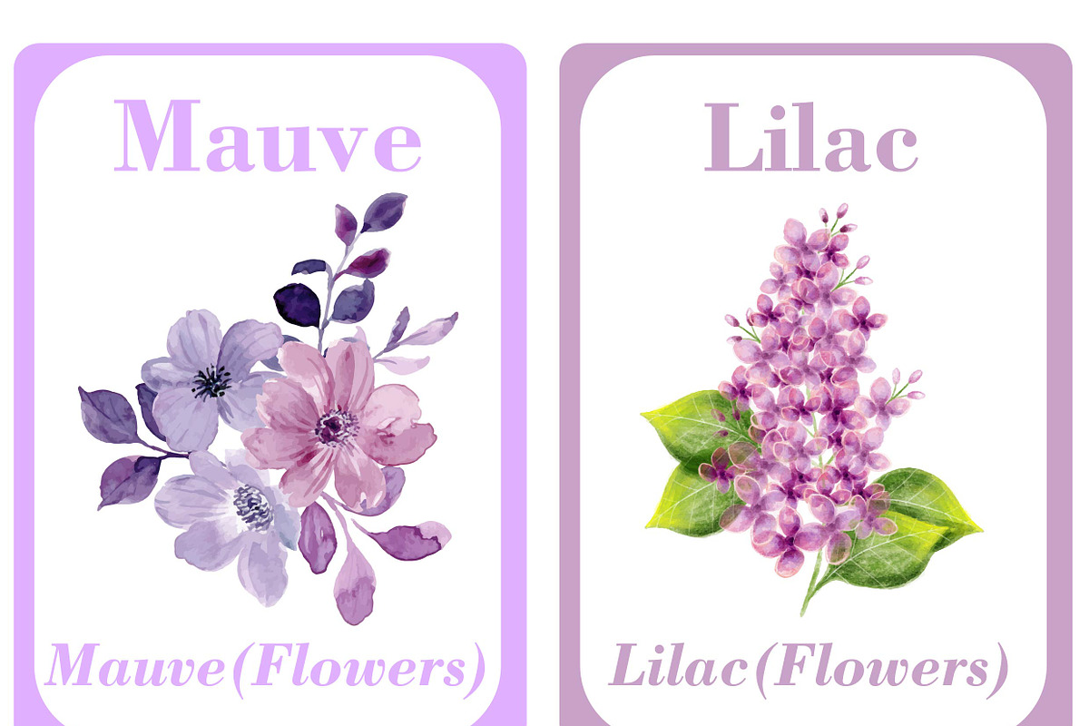 48 Essential Color Cards for Kids, a Graphic by DigitalsDesigns (Photo 3 of 3)