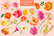 Poppy Love Floral Clip Art, an Object Graphic by Eclectic Anthology (Thumbnail 17 of 18)