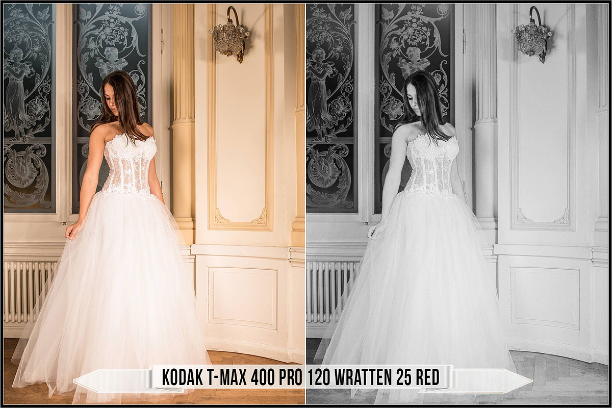 Eastman Kodak Black and White Films, a Plug-in Add-On by Raztrend (Photo 7 of 30)