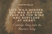 Rustic Handwritten Western Font Trio, a Handwritten Font by Laras Wonderland (Thumbnail 7 of 11)