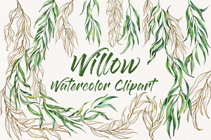 Eucalyptus Willow Watercolor Clipart