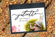 Beautiline Script, a Script Font by Sulthan Studio (Thumbnail 3 of 11)
