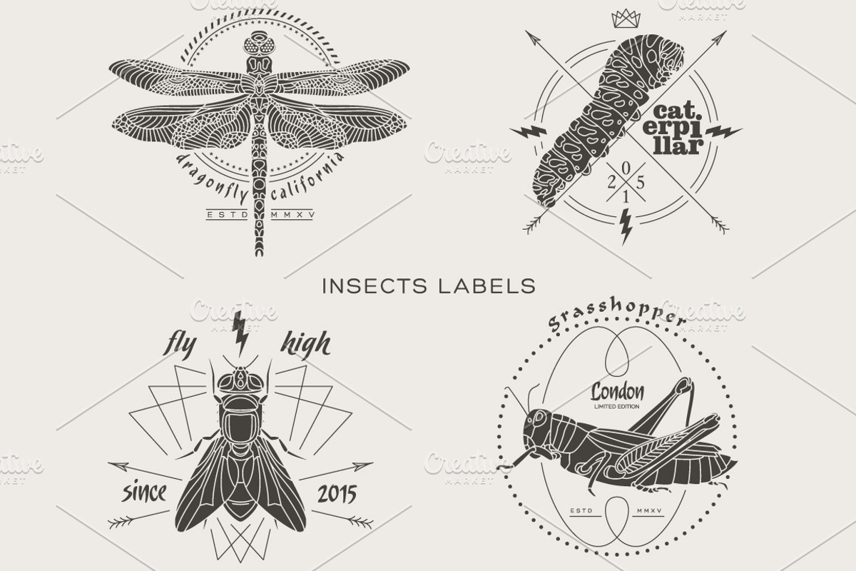Vintage insect labels, a Branding & Logo Template by karnofff