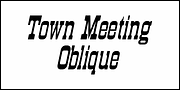 Town Meeting JNL, a Slab Serif Font by Jeff Levine Fonts (Thumbnail 4 of 5)