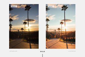 WILD Preset Pack