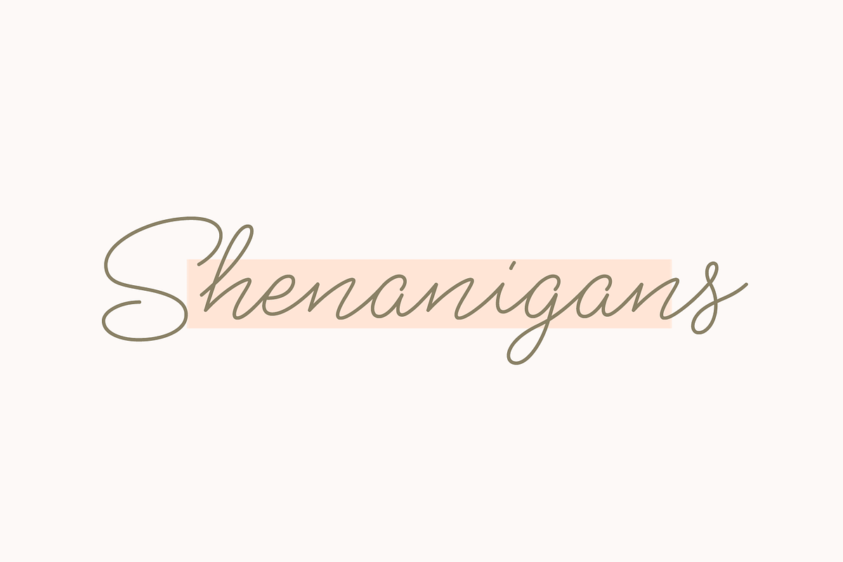 Shaker Script, a Script Font by Fenotype (Photo 6 of 7)