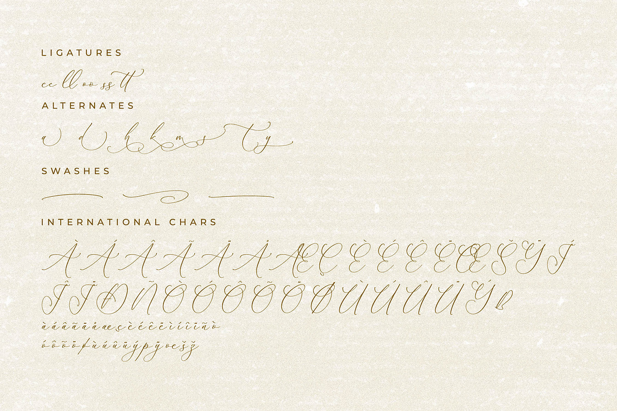 Balleryna Charlote Calligraphy Font, a Script Font by Storytype Studio (Photo 14 of 15)