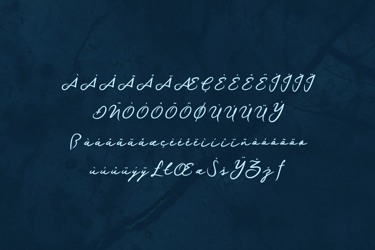 Haksen Script Font preview 7
