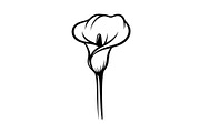 Black Lily Flower Vector Bundle, an Illustration by Designs_River (Thumbnail 17 of 51)