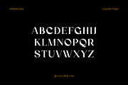 Vindigater Modern Retro Serif Font, a Serif Font by UICreative (Thumbnail 7 of 13)