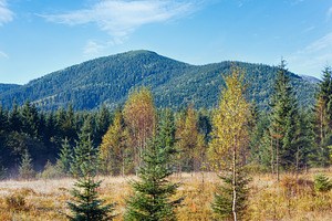 Morning misty autumn mountain landscape, a Nature Photo by YuriyB