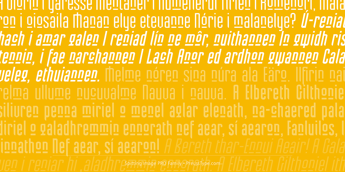 Spitting Image PRO, a Sans Serif Font by preussTYPE (Photo 4 of 9)