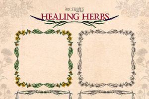 Healing Herbs Botanical Bundle