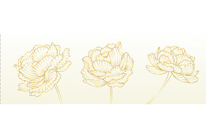 Golden line peony flowers set on, an Object Illustration by art PVP - market