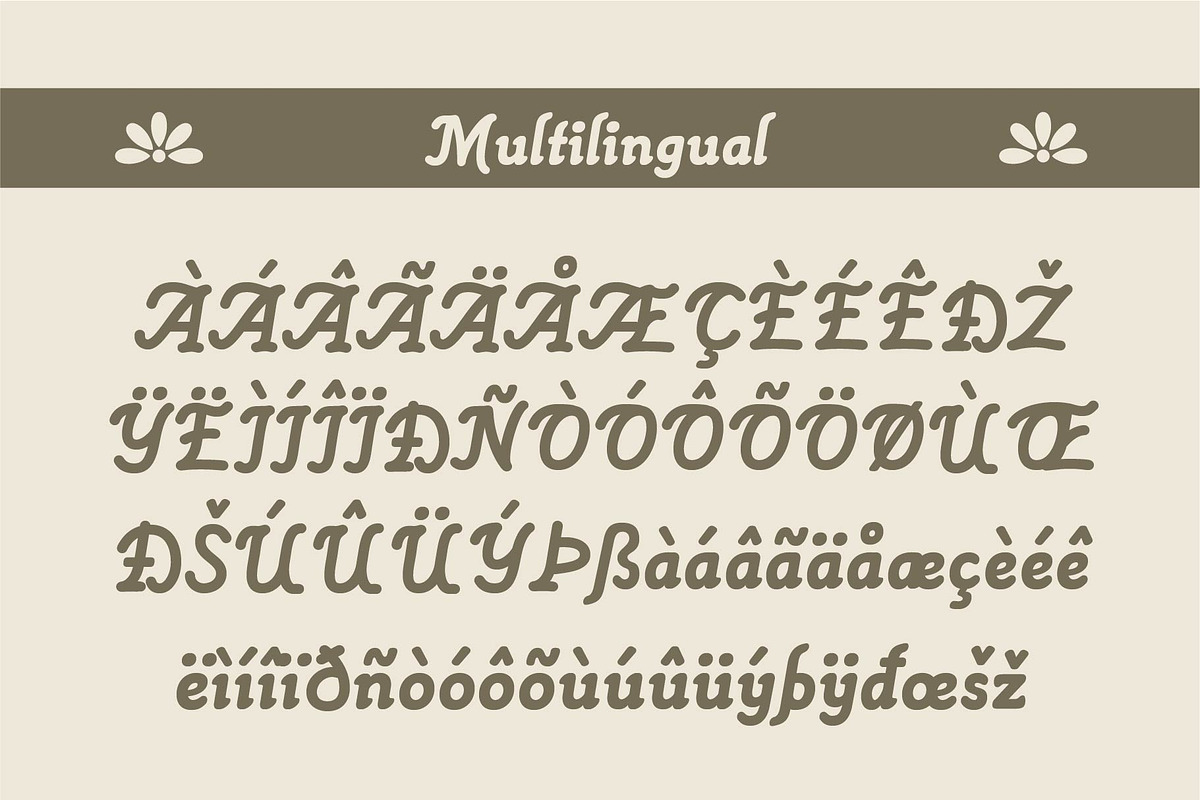 Alephand – A Traditional Script Font, a Serif Font by Hole Hope Design (Photo 4 of 8)