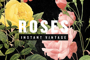 ROSES