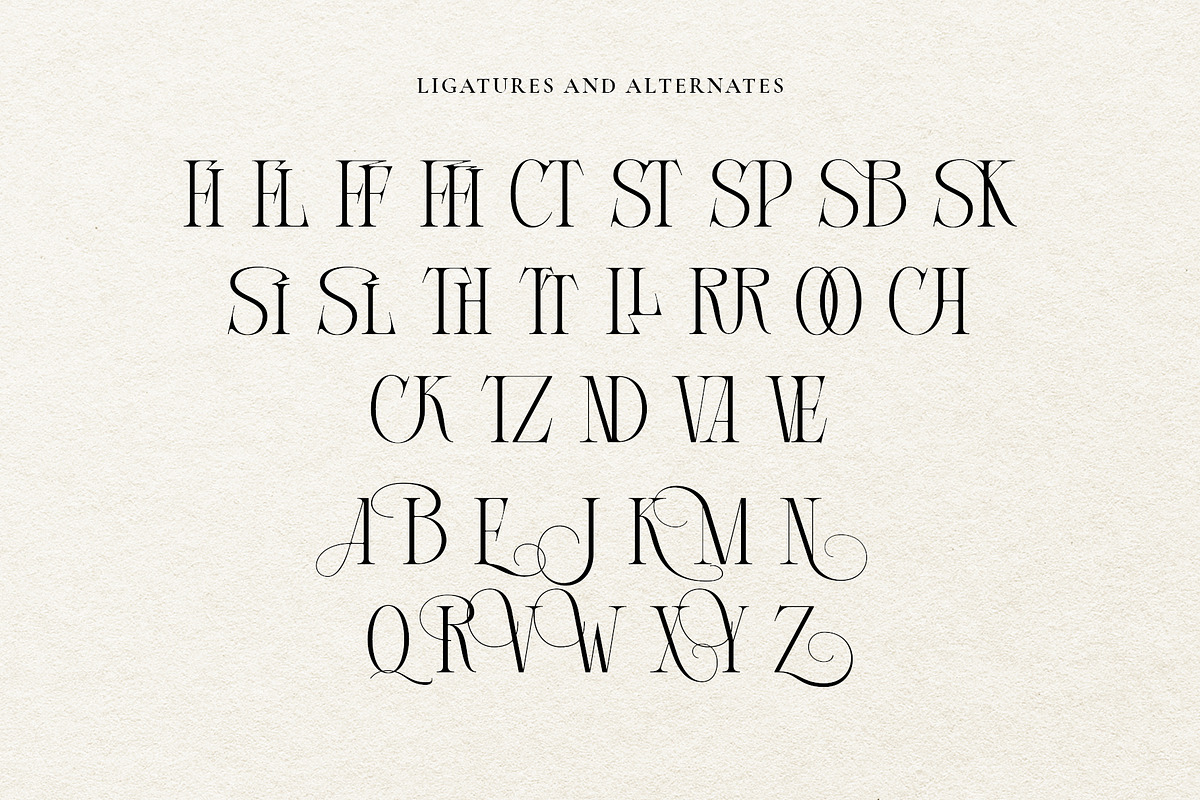 Courage Apprentice Serif Font, a Serif Font by Heinzel Std (Photo 10 of 11)