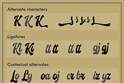Vitalia Script, a Script Font by Kochev Type (Thumbnail 2 of 7)