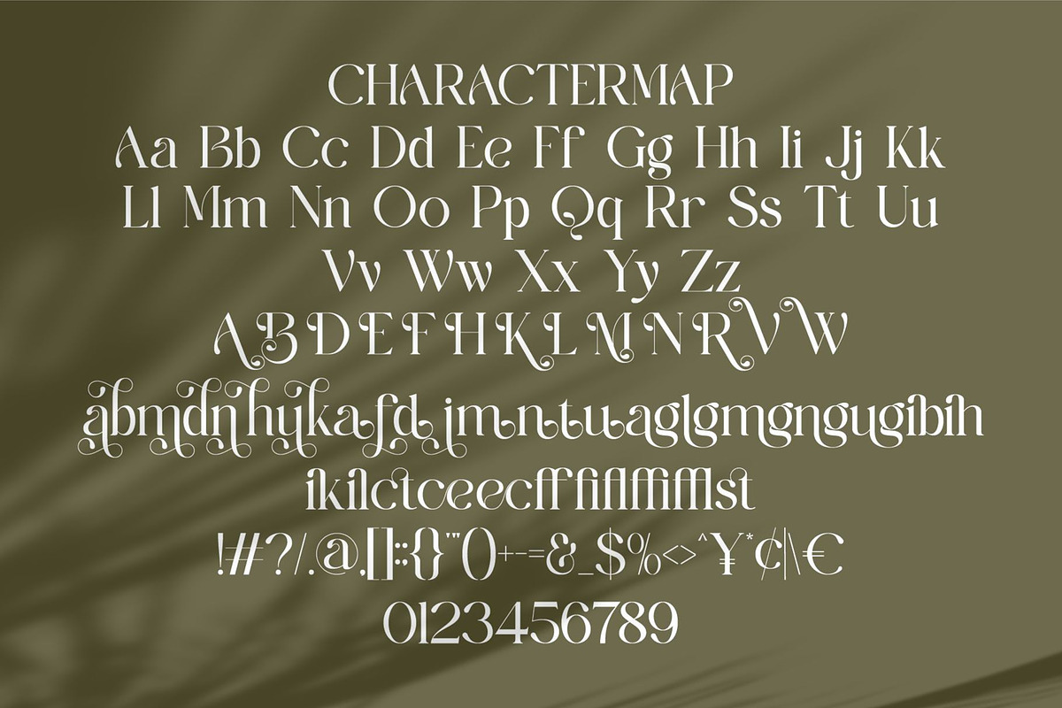 Rolena || Modern Serif Font, a Serif Font by Ermedia Studio (Photo 10 of 10)