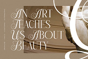 Menasha Brown New Hybrid Typeface, a Serif Font by Storytype Studio (Thumbnail 6 of 15)