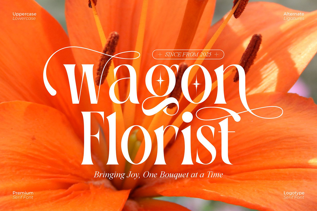 Avooka || Modern Serif Font, a Serif Font by Ermedia Studio (Photo 5 of 10)