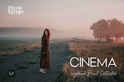 9 Cinematic Lightroom Presets, a Preset Add-On by ThemeTango (Thumbnail 1 of 10)