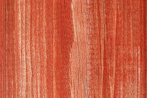 Red wood, a Photo by saiko3p
