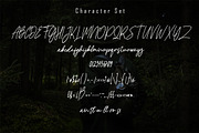 Francos Signature - Stylish Monoline, a Script Font by skiiller studio (Thumbnail 7 of 8)