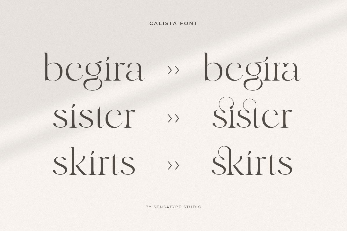 Calista - Classy Elegant Font, a Serif Font by Sensatype (Photo 8 of 21)
