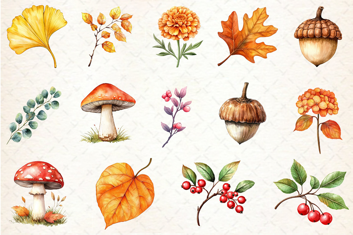 Watercolor Fall Botanical Clipart, an Illustration by Rose Art (Photo 2 of 4)