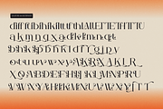 Arleon Domenk Display Elegant Serif, a Serif Font by Denustudios (Thumbnail 15 of 15)