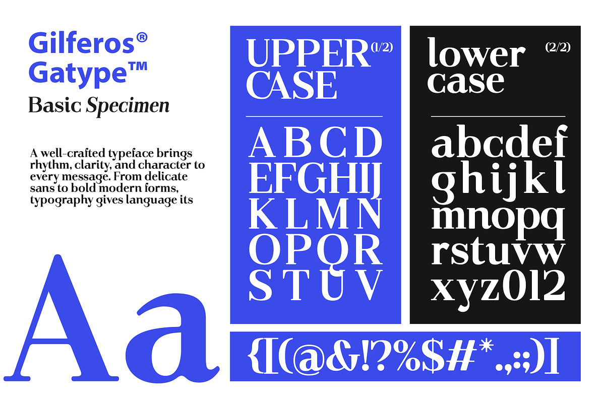 Gilferos, a Serif Font by Gatype (Photo 15 of 16)