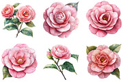 Camellia Flower Bloom PNG Clipart, an Illustration by DreamArtGraphic (Thumbnail 3 of 5)