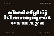 Miske – Modern Bold Serif, a Serif Font by MaikoHatta (Thumbnail 6 of 8)
