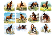 Brown Horse Clipart, a Decorative Illustration by stickermadness (Thumbnail 2 of 4)