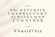 Journey – Aesthetic Serif Font, a Serif Font by Hamz Studio (Thumbnail 15 of 20)