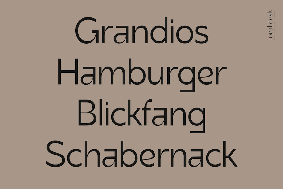 Altmark – a very unique sans, a Sans Serif Font by Local Desk Designstudio (Photo 2 of 23)