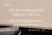 Demista - Modern Elegant Serif Font, a Serif Font by TypeLogue (Thumbnail 5 of 5)