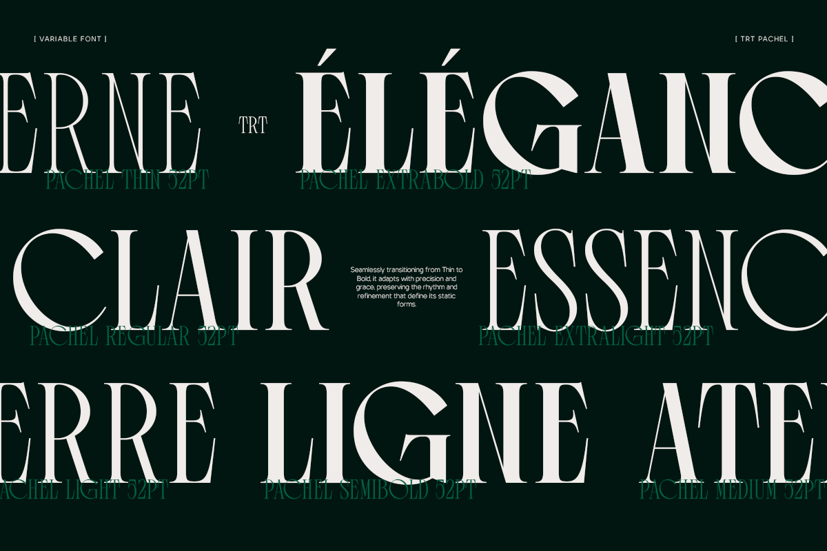 TRT Pachel Luxury Editorial Serif, a Serif Font by truetype (Photo 6 of 15)