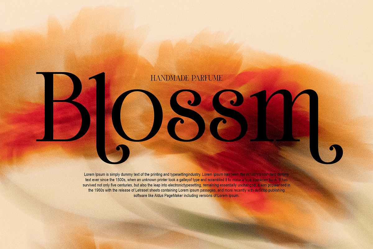 Marlin Modern Elegant Serif, a Serif Font by Alfinart (Photo 2 of 11)
