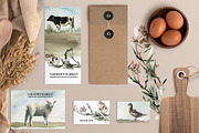 Little Farm Animals Clip Art, an Animal Illustration by whiteheartdesign (Thumbnail 14 of 18)