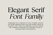 Ariane Coachella Elegant Serif Font, a Serif Font by UICreative (Thumbnail 7 of 13)