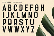 Rosewood - Sans Serif Font, a Sans Serif Font by Alpaprana (Thumbnail 4 of 13)