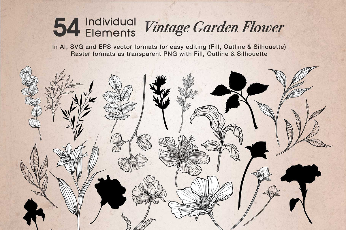 VINTAGE GARDEN FLOWERS, a Decorative Illustration by Papatongartist (Photo 8 of 9)