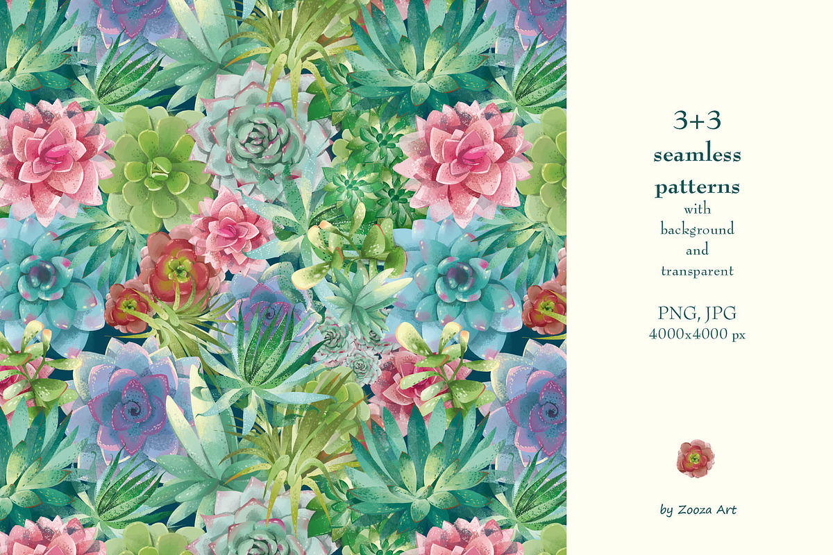 Succulents: 12 images, 6 patterns, an Illustration by Zooza Art (Photo 4 of 9)